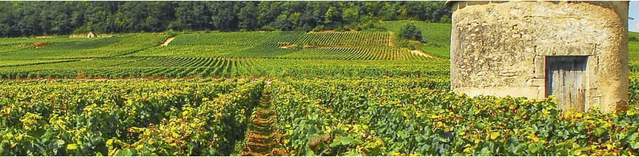 La Bourgogne