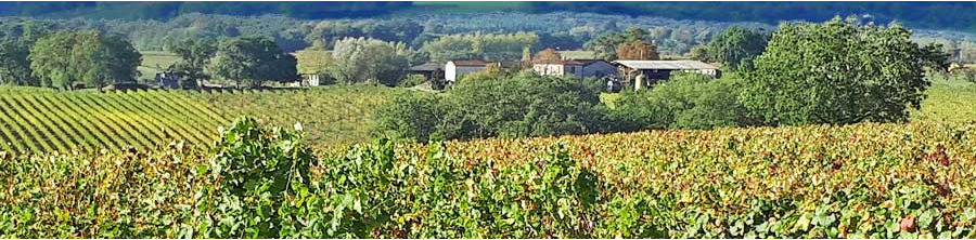 Le Languedoc / Sud-Ouest