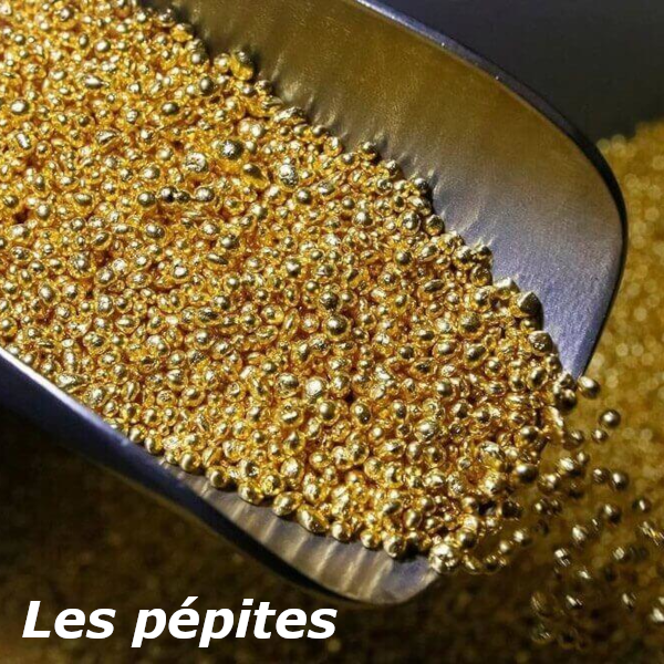 Les Pépites du Chef