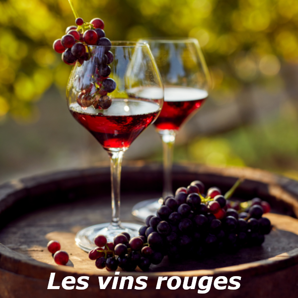 Vins Rouges
